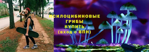 СК Абдулино