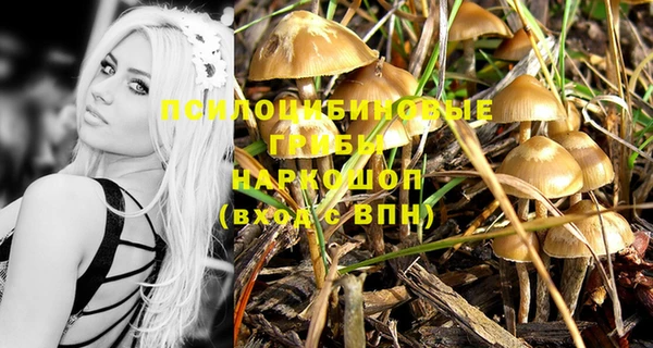 марки lsd Абаза