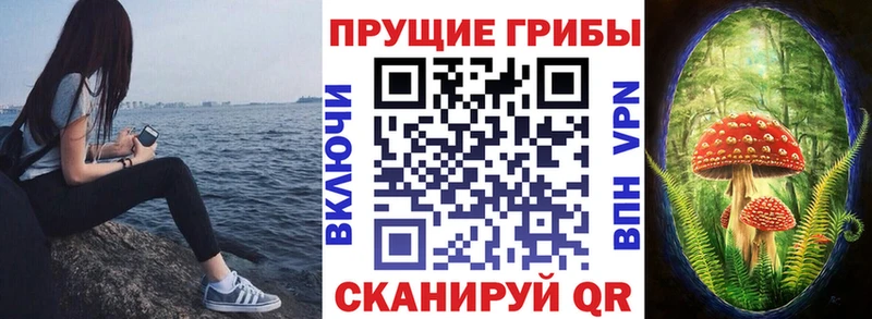 Галлюциногенные грибы Cubensis  Щёкино 